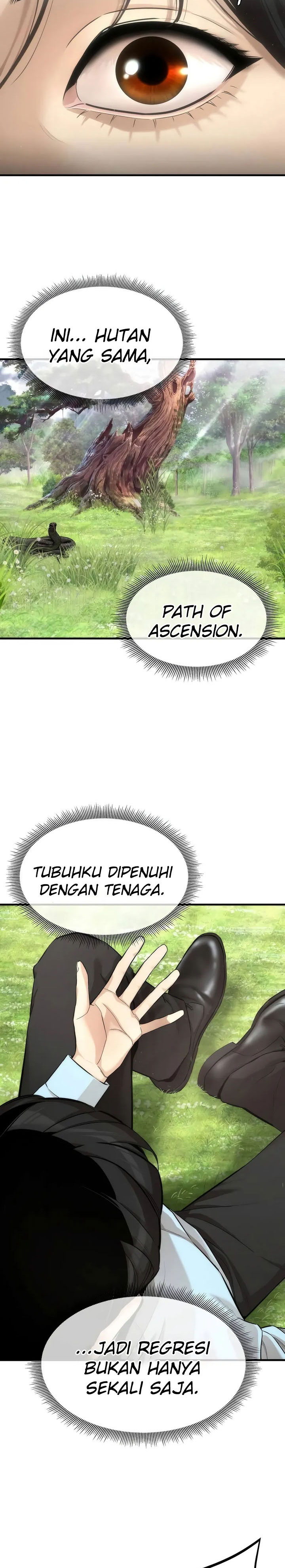 A Regressor’s Tale of Cultivation chapter 8