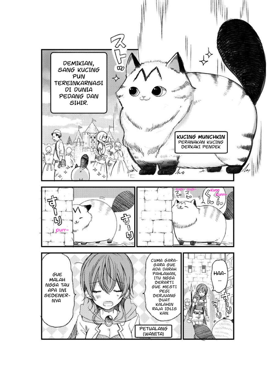 A Story about a Cat Reincarnated in a Different World Where There are no Cats chapter 1