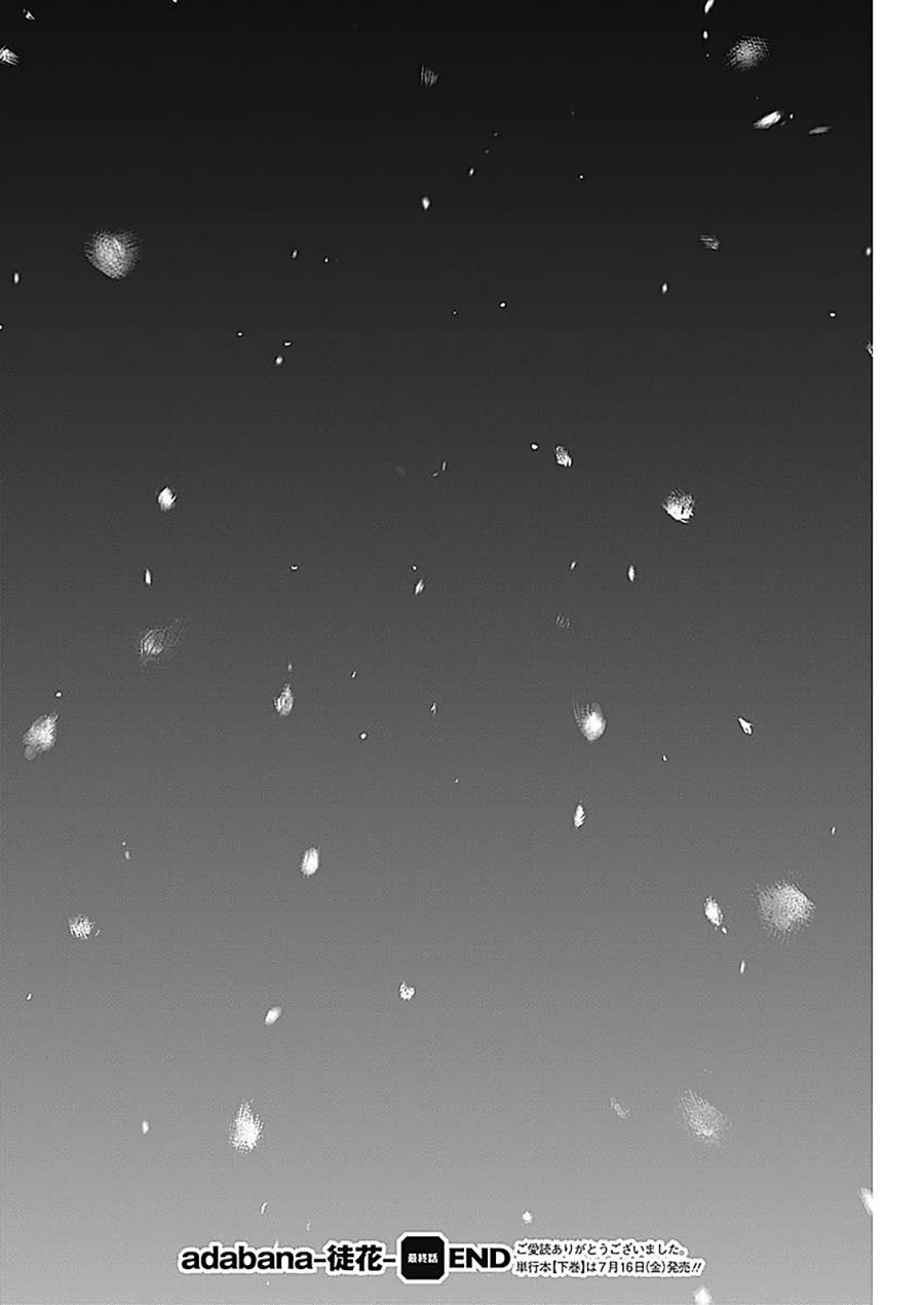 Adabana chapter 28