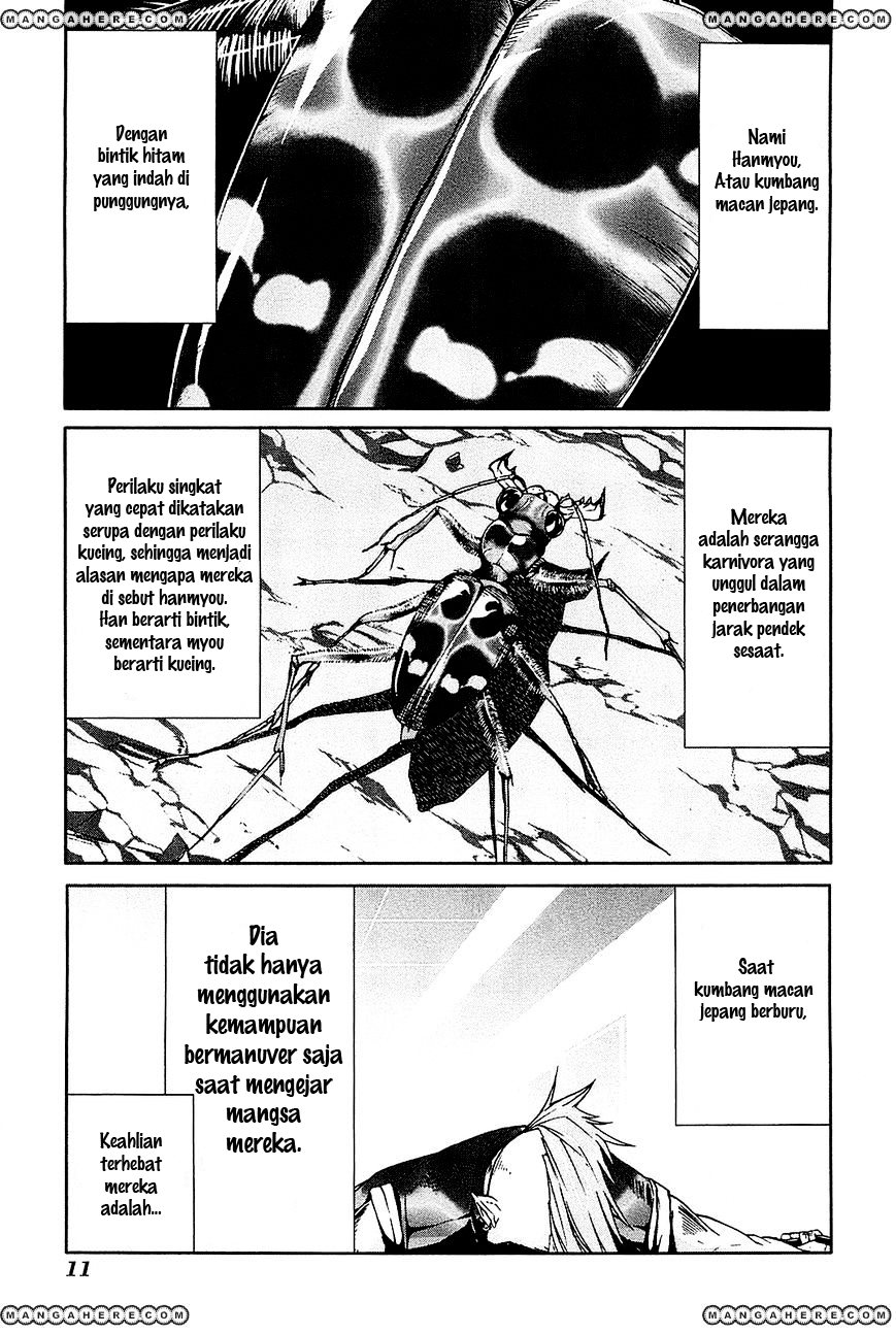 Arachnid chapter 21