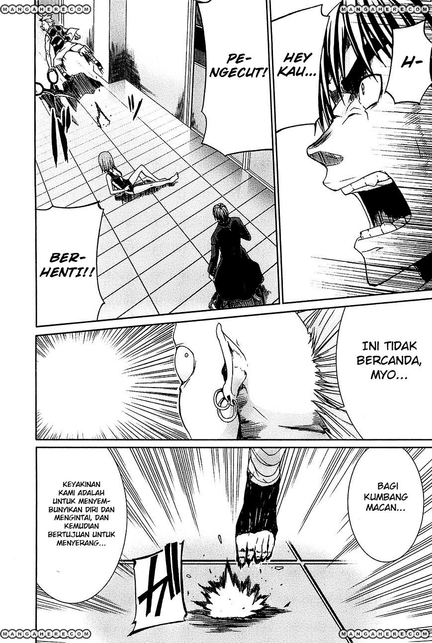 Arachnid chapter 21