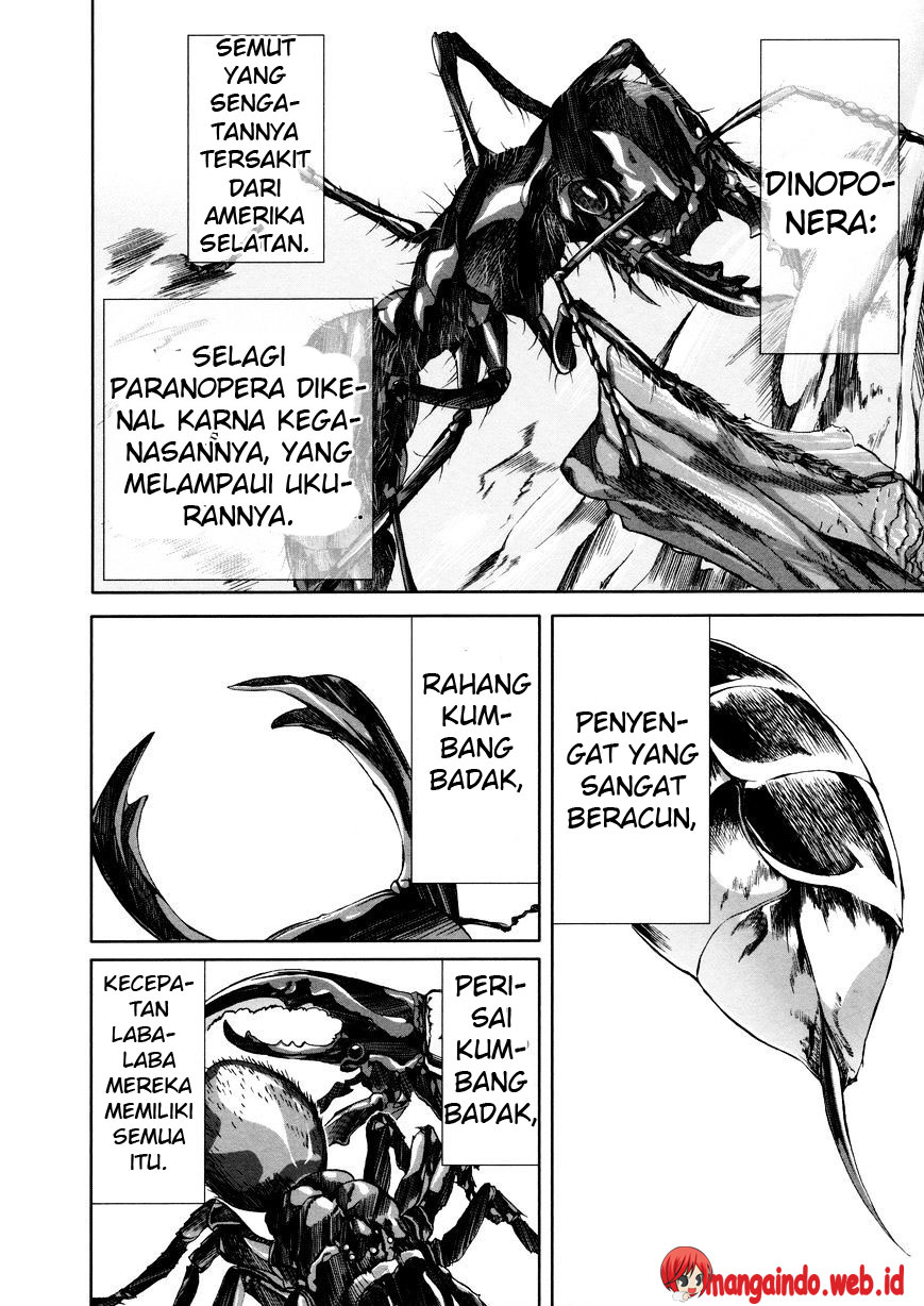 Arachnid Chapter 36 Bahasa Indonesia