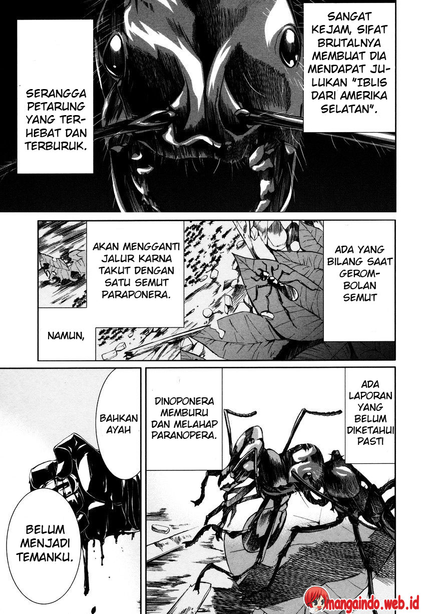 Arachnid Chapter 36 Bahasa Indonesia
