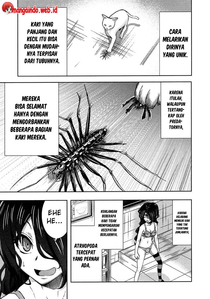 Arachnid chapter 40