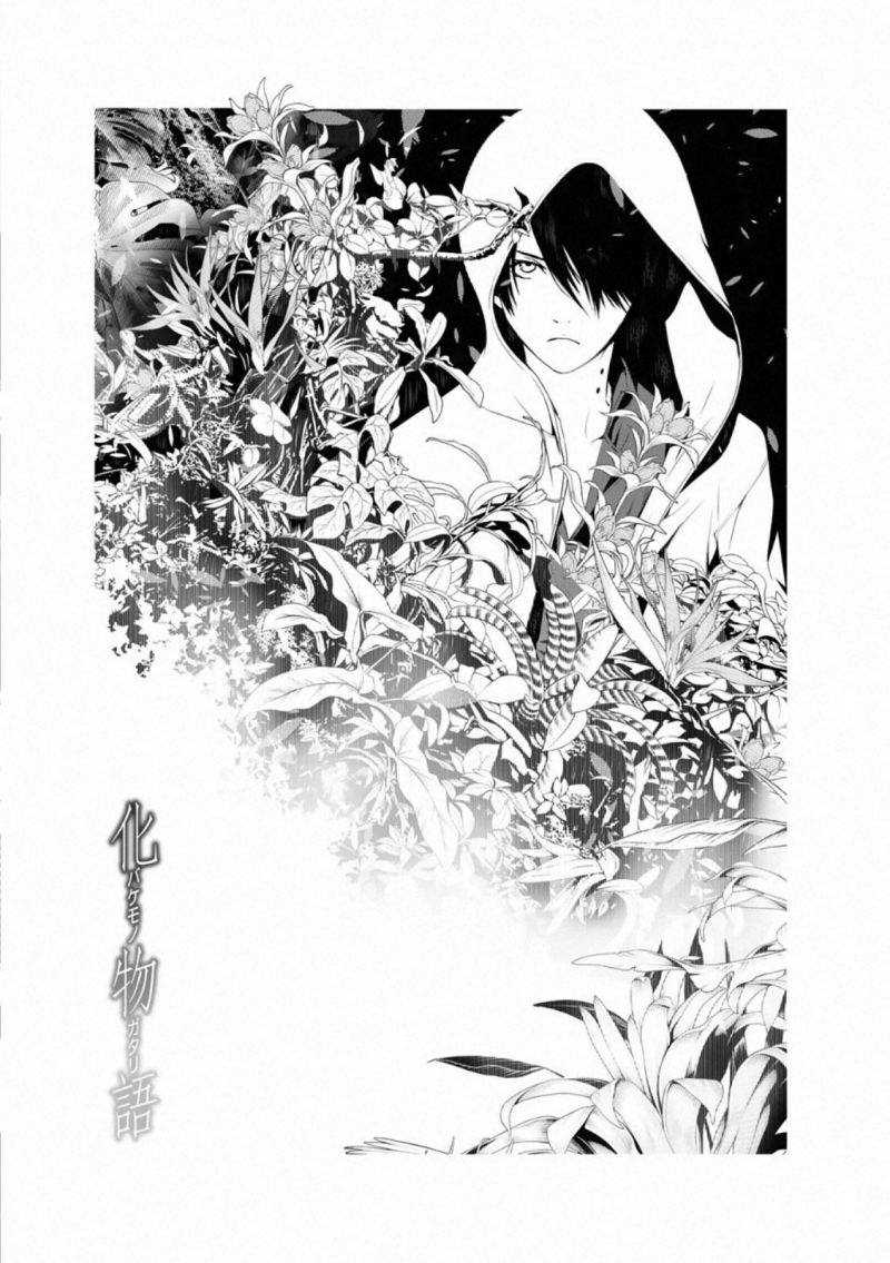 Bakemonogatari chapter 105