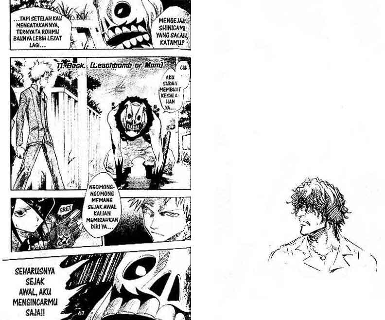 Bleach chapter 1