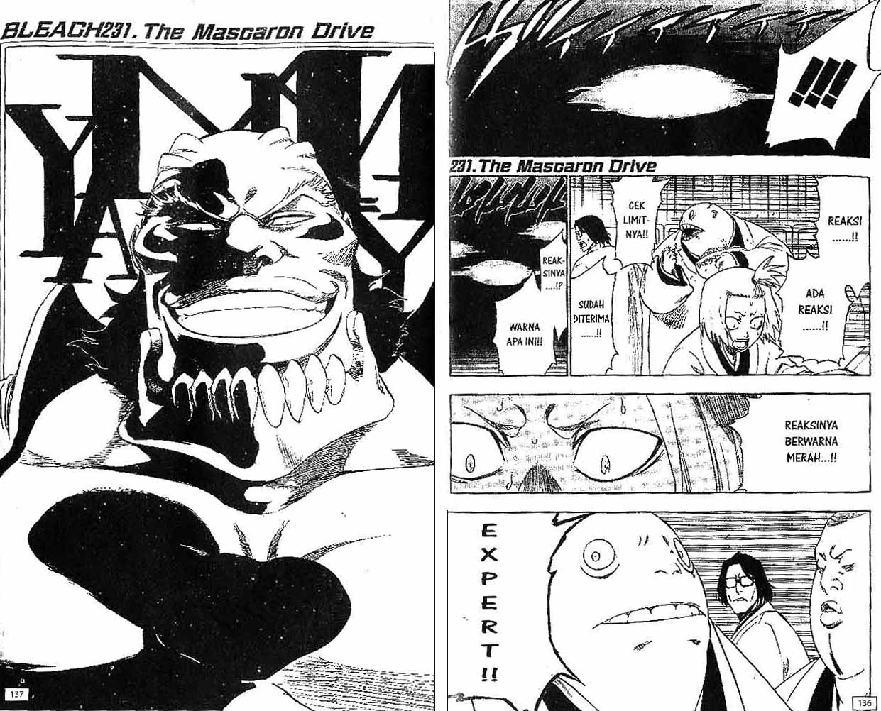 Bleach chapter 26
