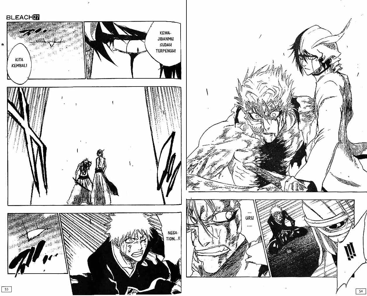 Bleach chapter 27