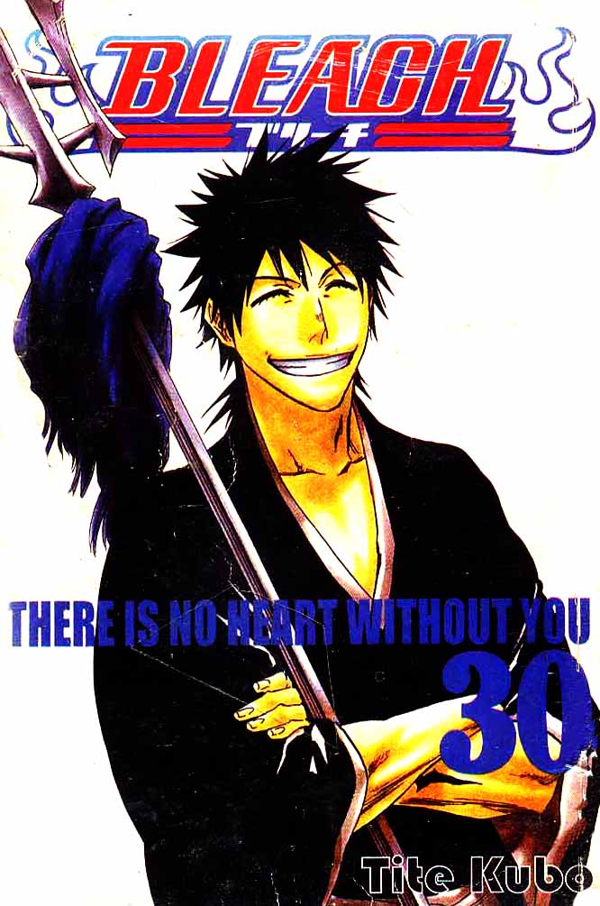 Bleach Vol 30 Bahasa Indonesia