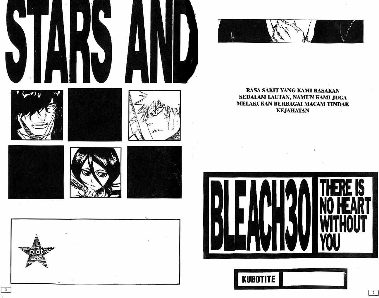 Bleach Vol 30 Bahasa Indonesia