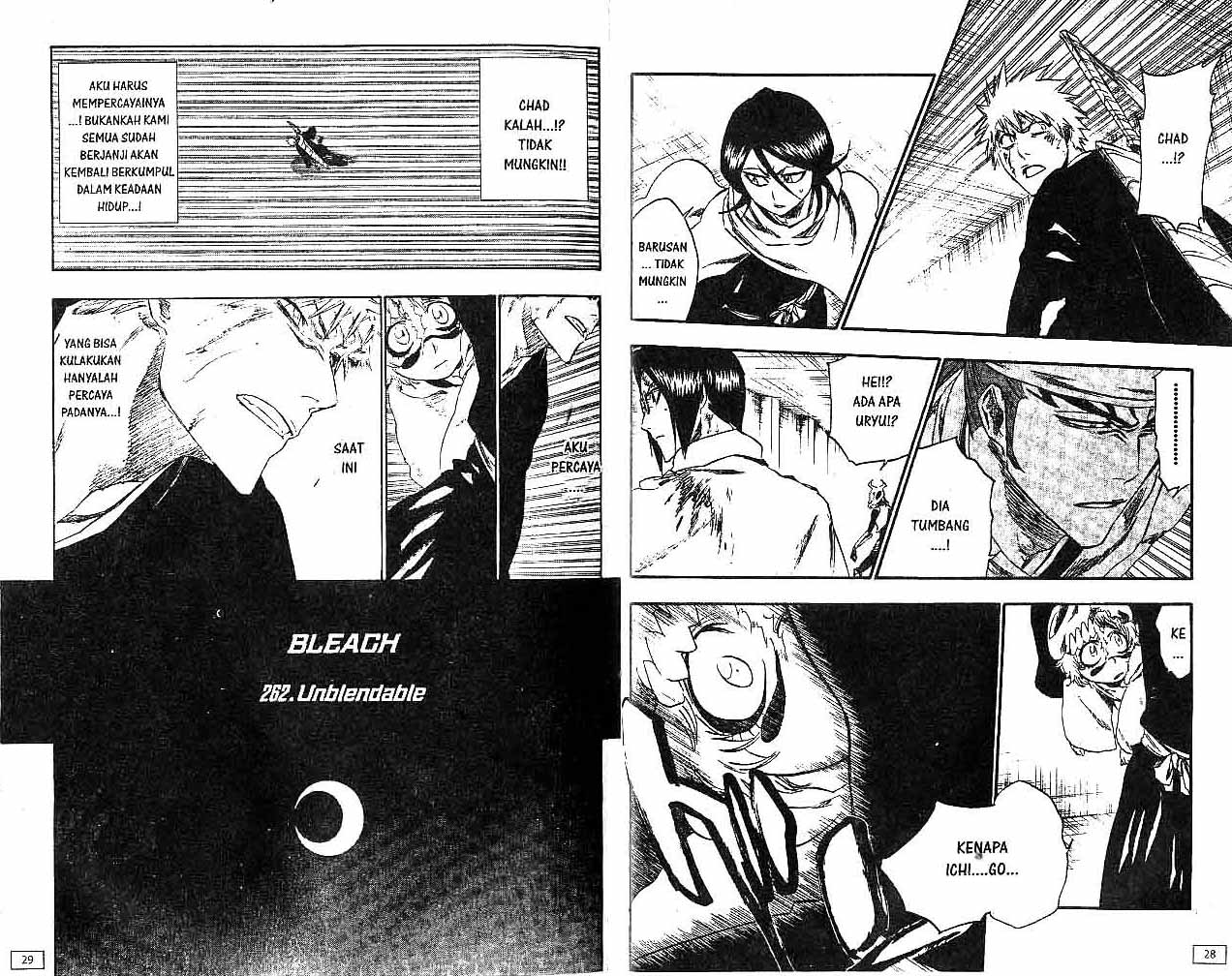 Bleach Vol 30 Bahasa Indonesia