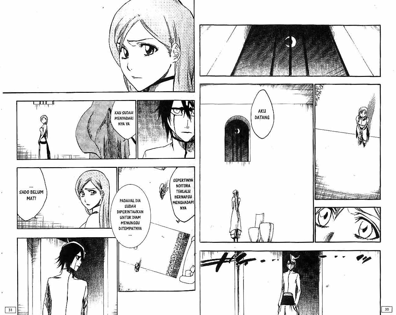 Bleach Vol 30 Bahasa Indonesia