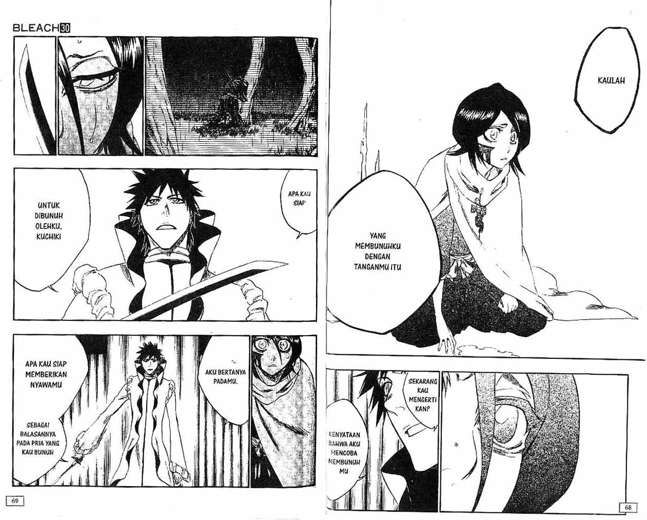 Bleach Vol 30 Bahasa Indonesia