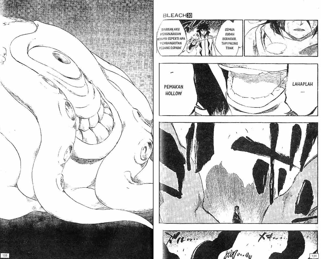 Bleach Vol 30 Bahasa Indonesia