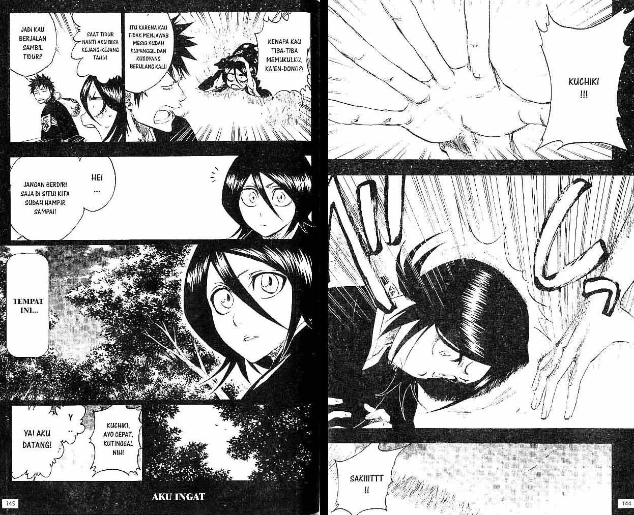 Bleach Vol 30 Bahasa Indonesia