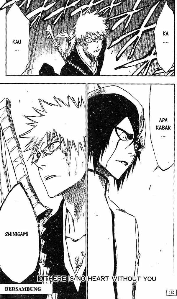 Bleach Vol 30 Bahasa Indonesia