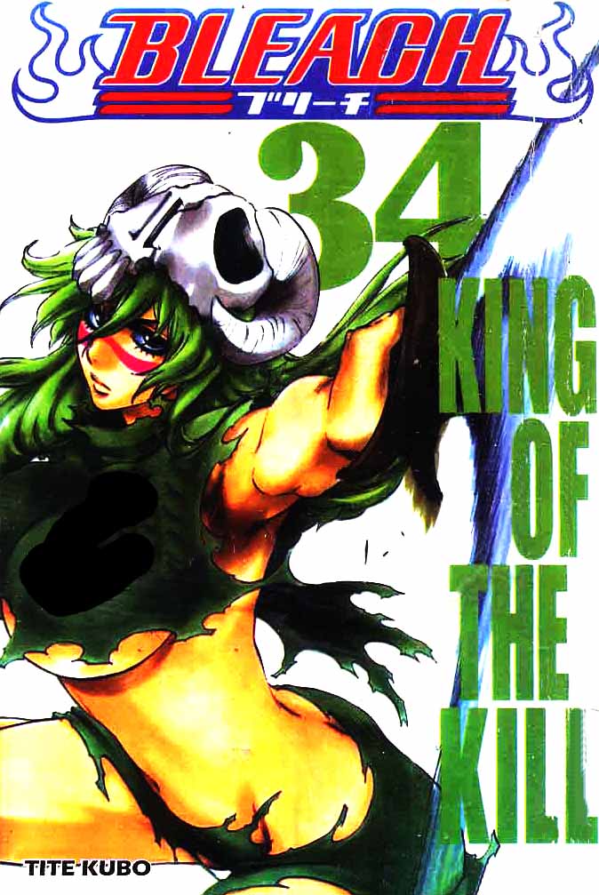 Bleach Vol 34 Bahasa Indonesia