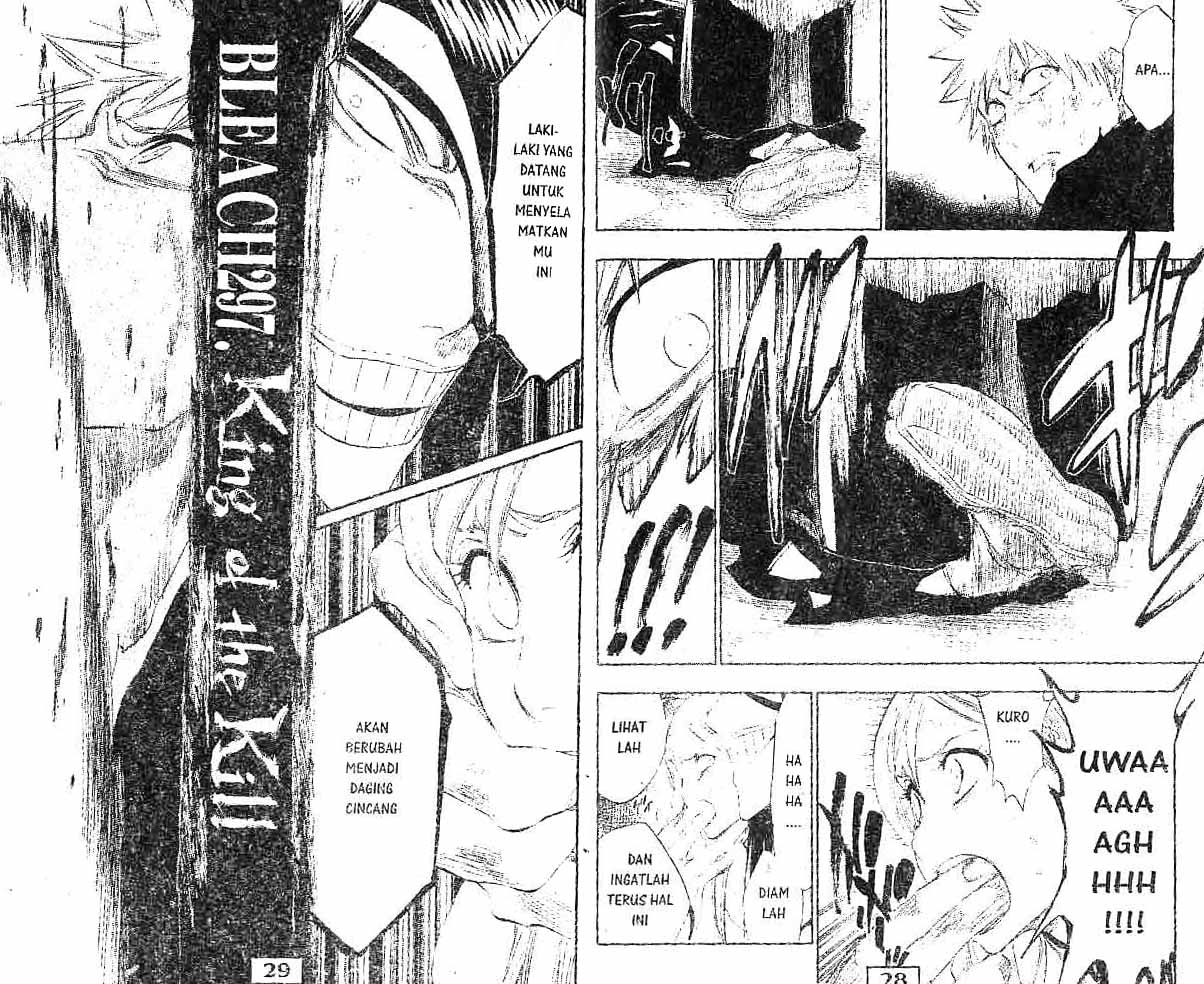 Bleach Vol 34 Bahasa Indonesia