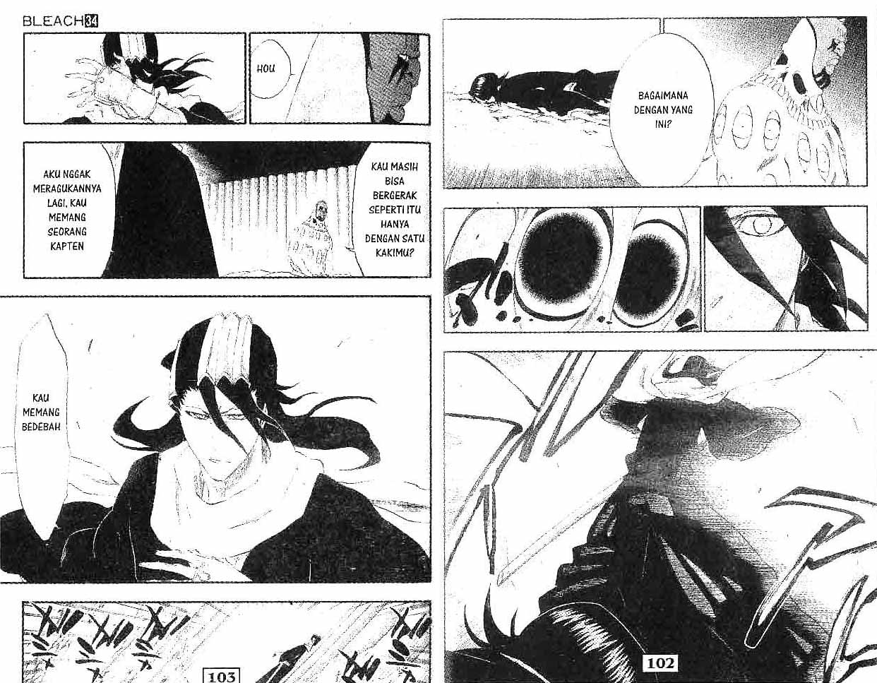 Bleach Vol 34 Bahasa Indonesia