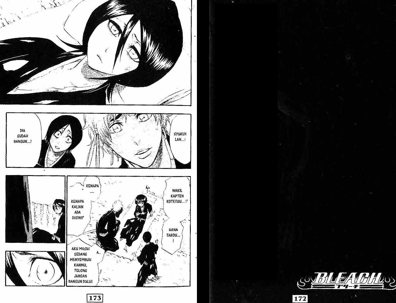 Bleach Vol 34 Bahasa Indonesia