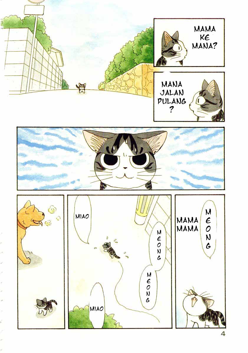 Chii’s Sweet Home Chapter 1