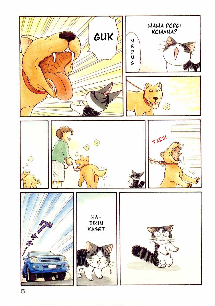 Chii’s Sweet Home Chapter 1