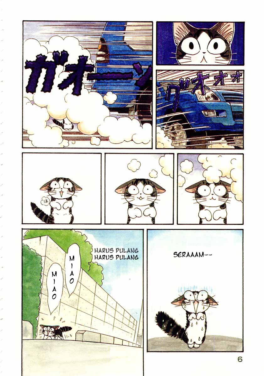 Chii’s Sweet Home Chapter 1