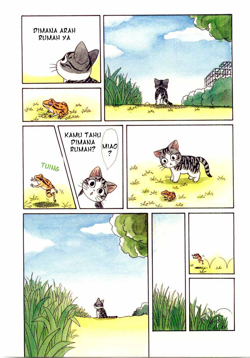 Chii’s Sweet Home Chapter 1