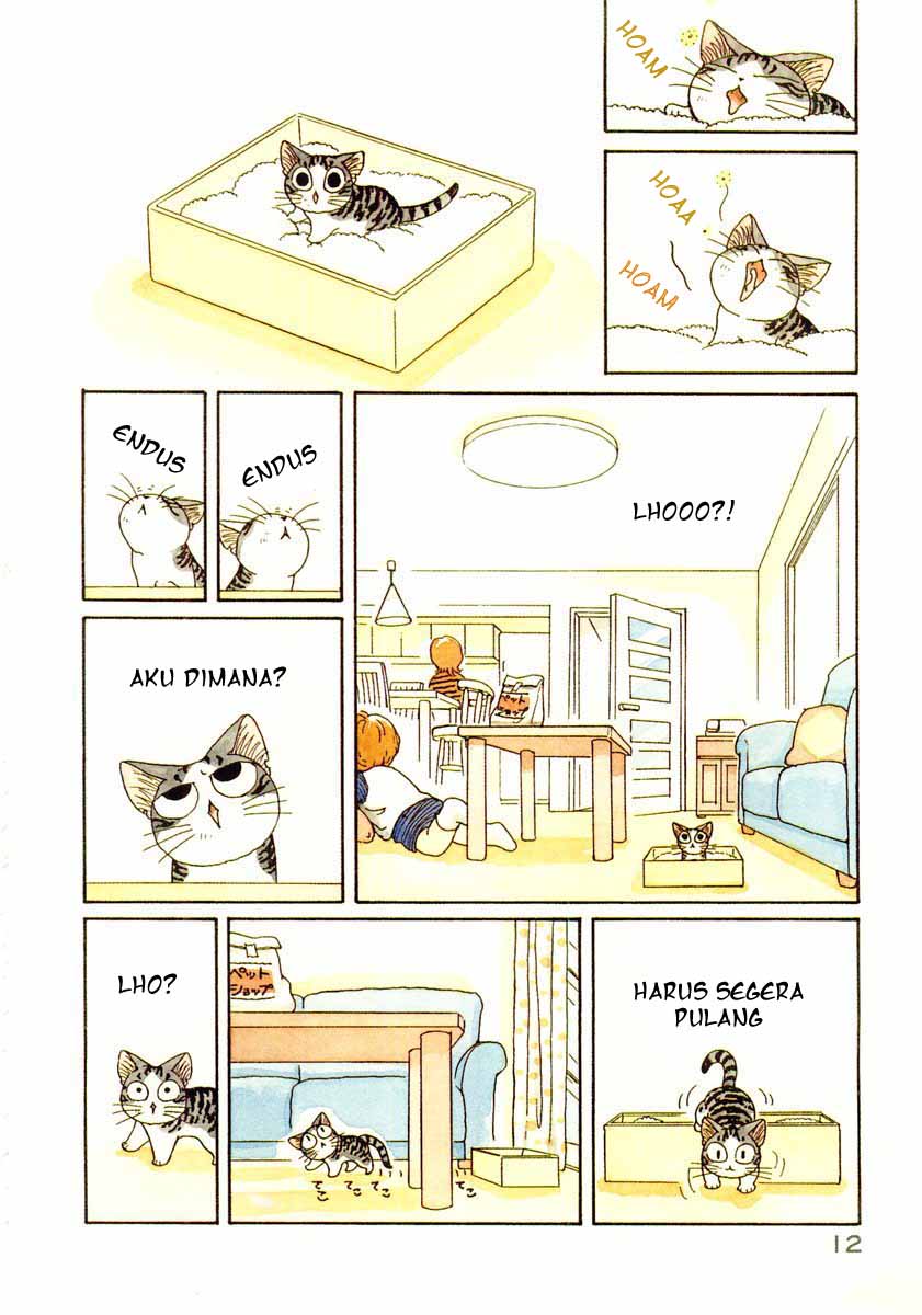 Chii’s Sweet Home Chapter 2