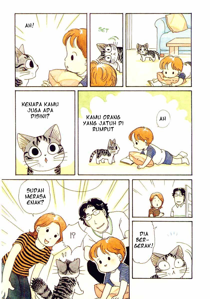 Chii’s Sweet Home Chapter 2