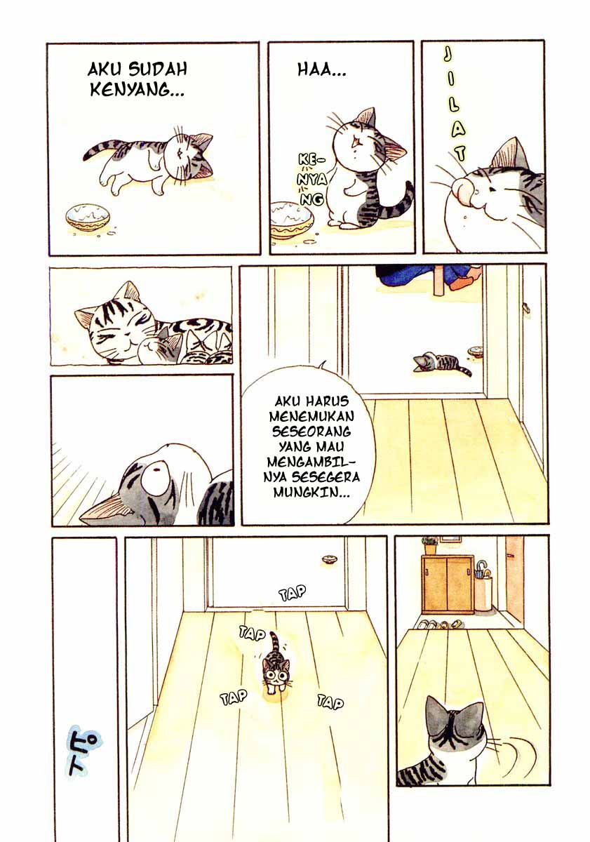 Chii’s Sweet Home Chapter 4