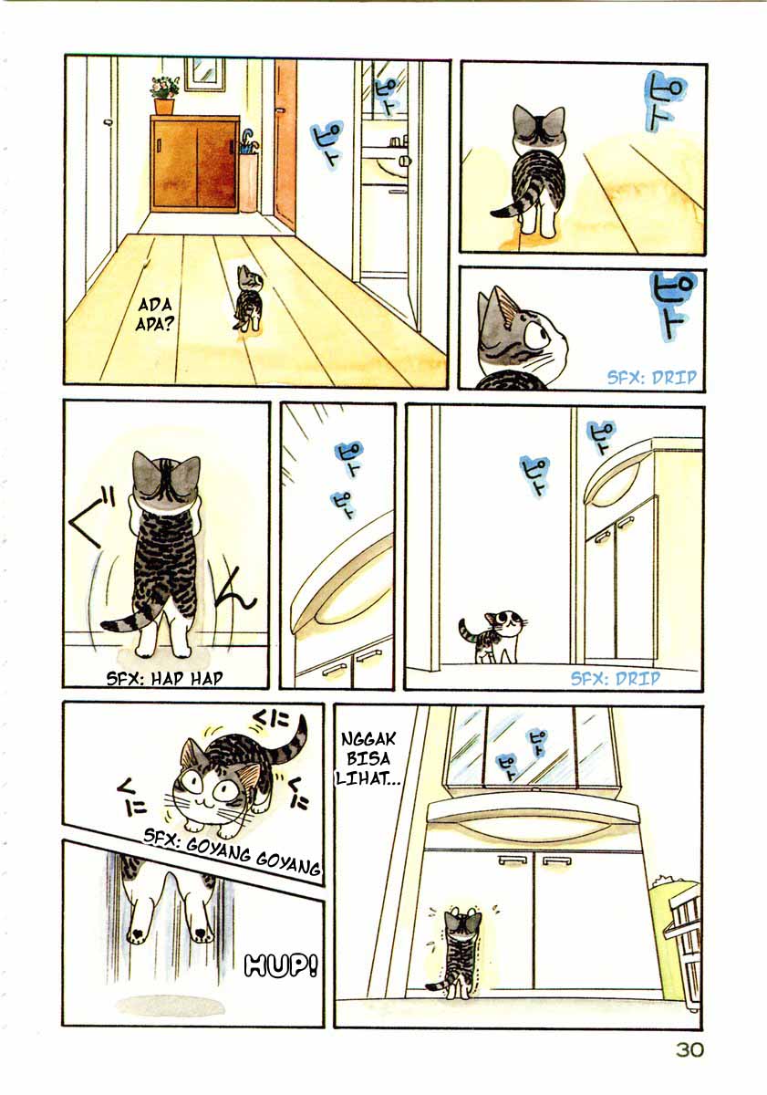 Chii’s Sweet Home Chapter 4