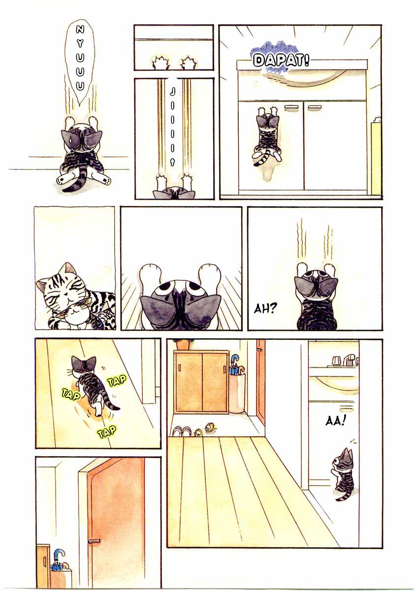 Chii’s Sweet Home Chapter 4