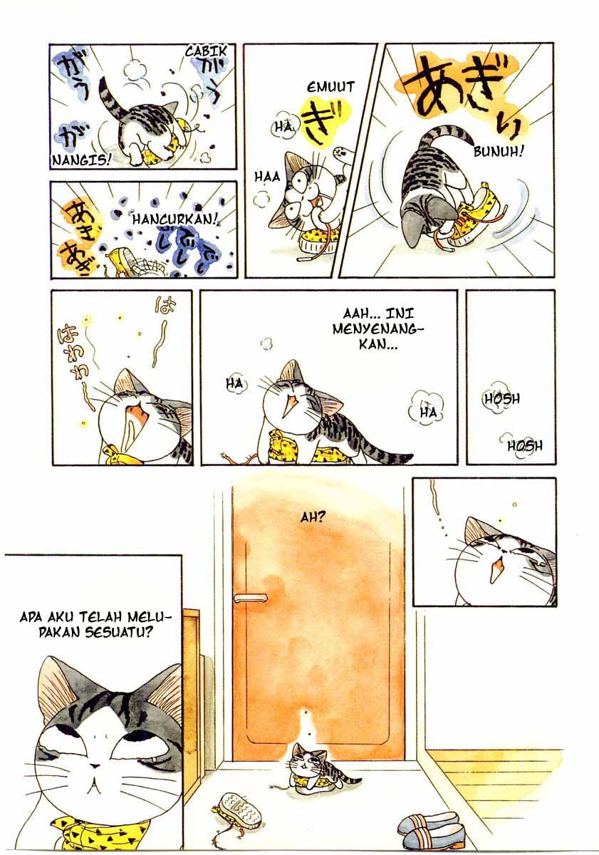 Chii’s Sweet Home Chapter 4