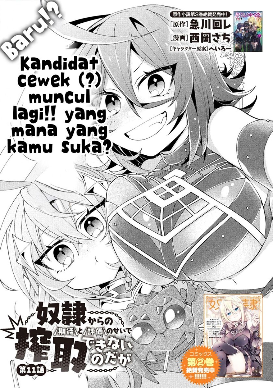 Dorei kara no Kitai to Hyouka no sei de Sakushu dekinai no daga chapter 11