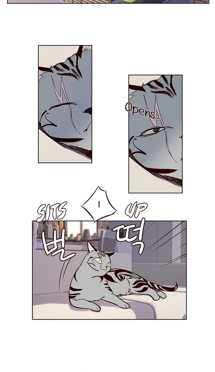 Eleceed chapter 7