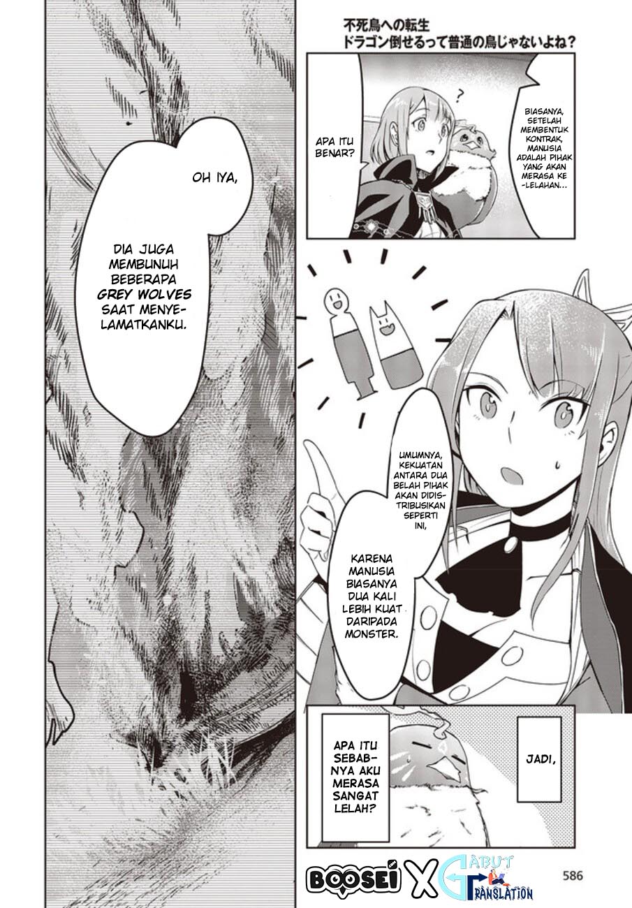 Fushichou e no Tensei: Dragon Taoseru tte Futsuu no Tori ja nai yo ne? chapter 2