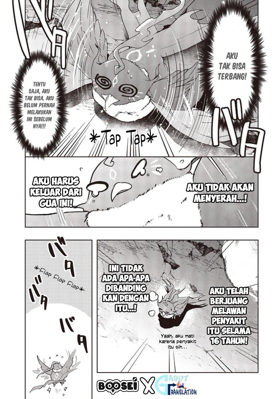 Fushichou e no Tensei: Dragon Taoseru tte Futsuu no Tori ja nai yo ne? chapter 2