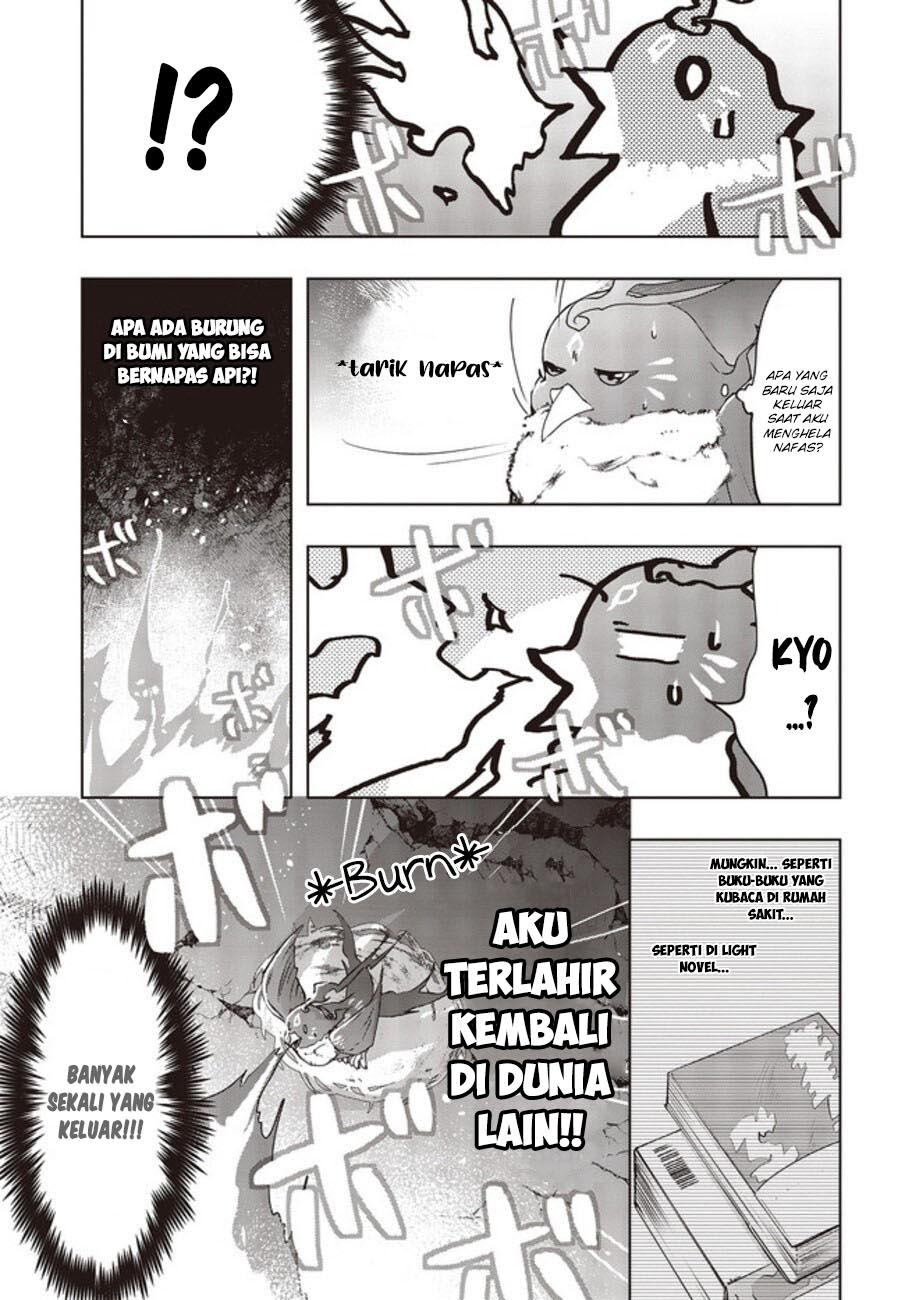 Fushichou e no Tensei: Dragon Taoseru tte Futsuu no Tori ja nai yo ne? chapter 2