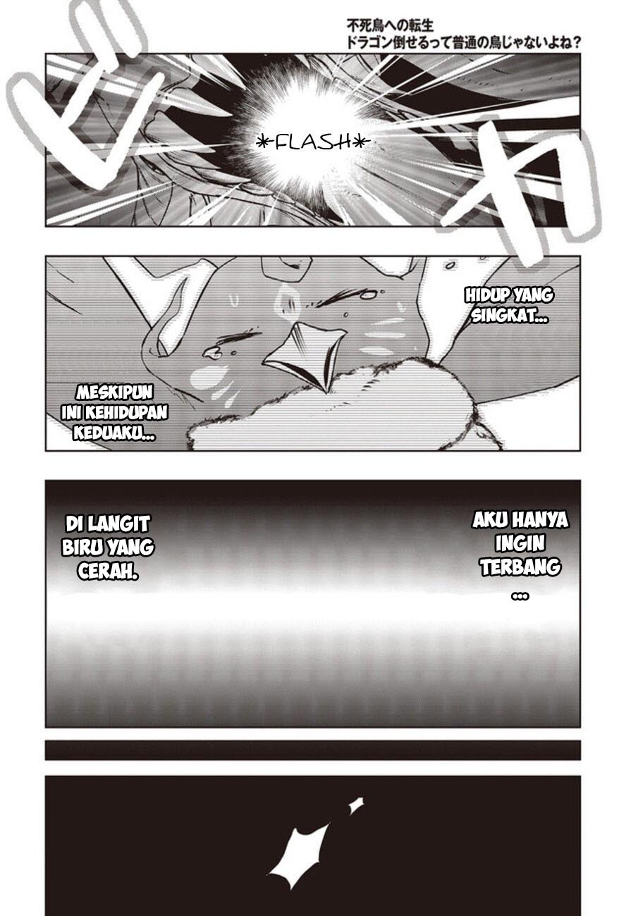 Fushichou e no Tensei: Dragon Taoseru tte Futsuu no Tori ja nai yo ne? chapter 2