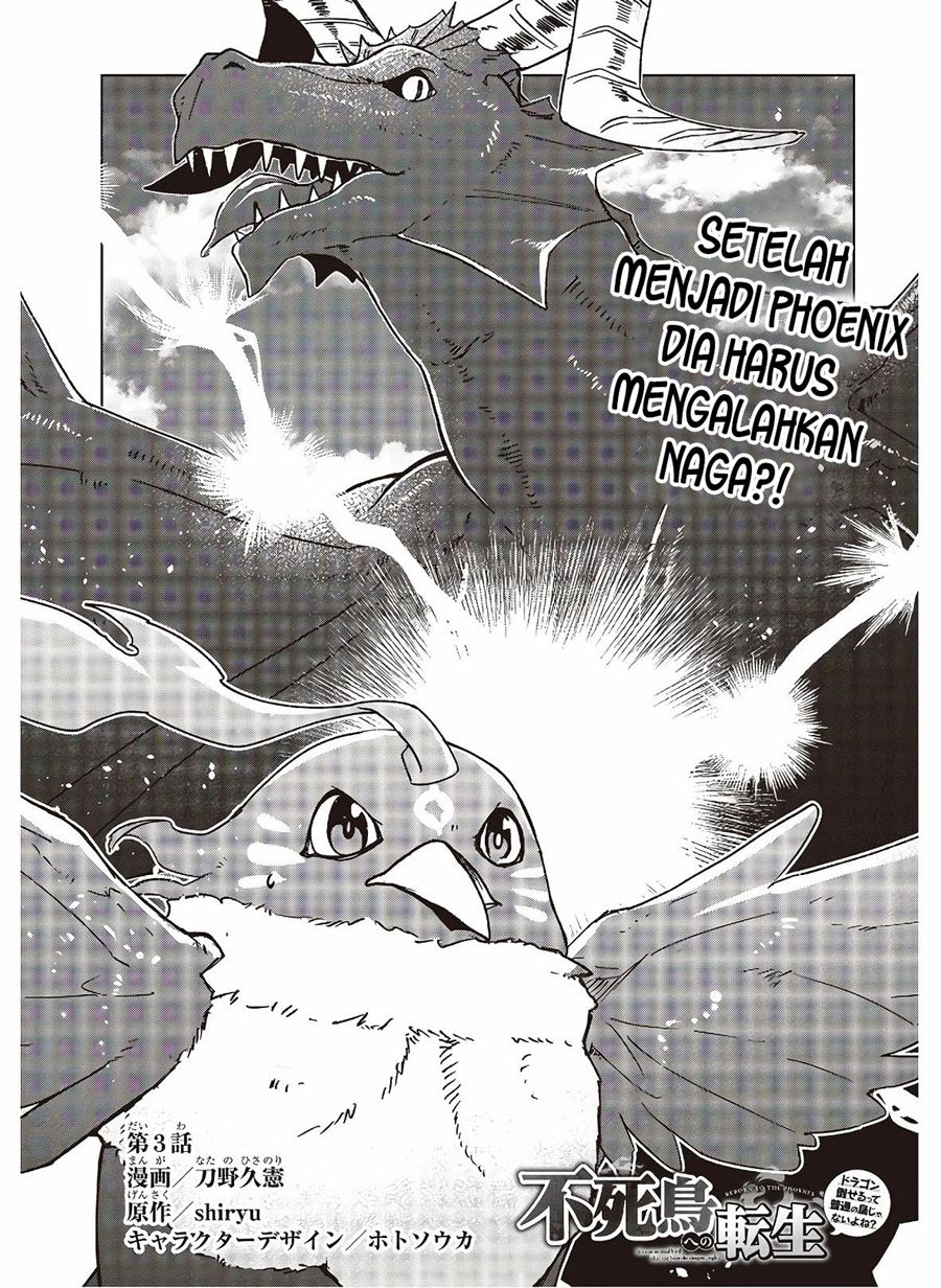Fushichou e no Tensei: Dragon Taoseru tte Futsuu no Tori ja nai yo ne? chapter 3