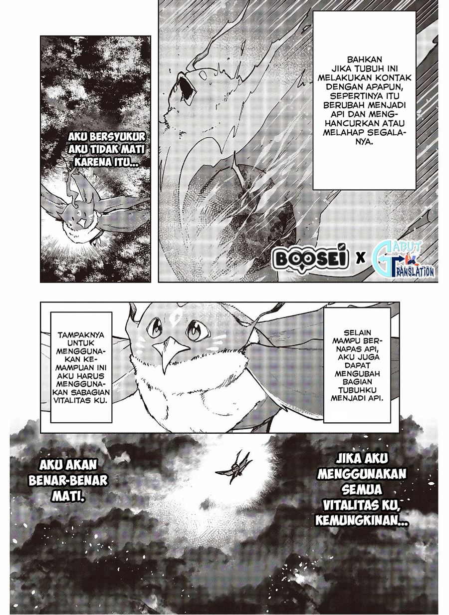 Fushichou e no Tensei: Dragon Taoseru tte Futsuu no Tori ja nai yo ne? chapter 3