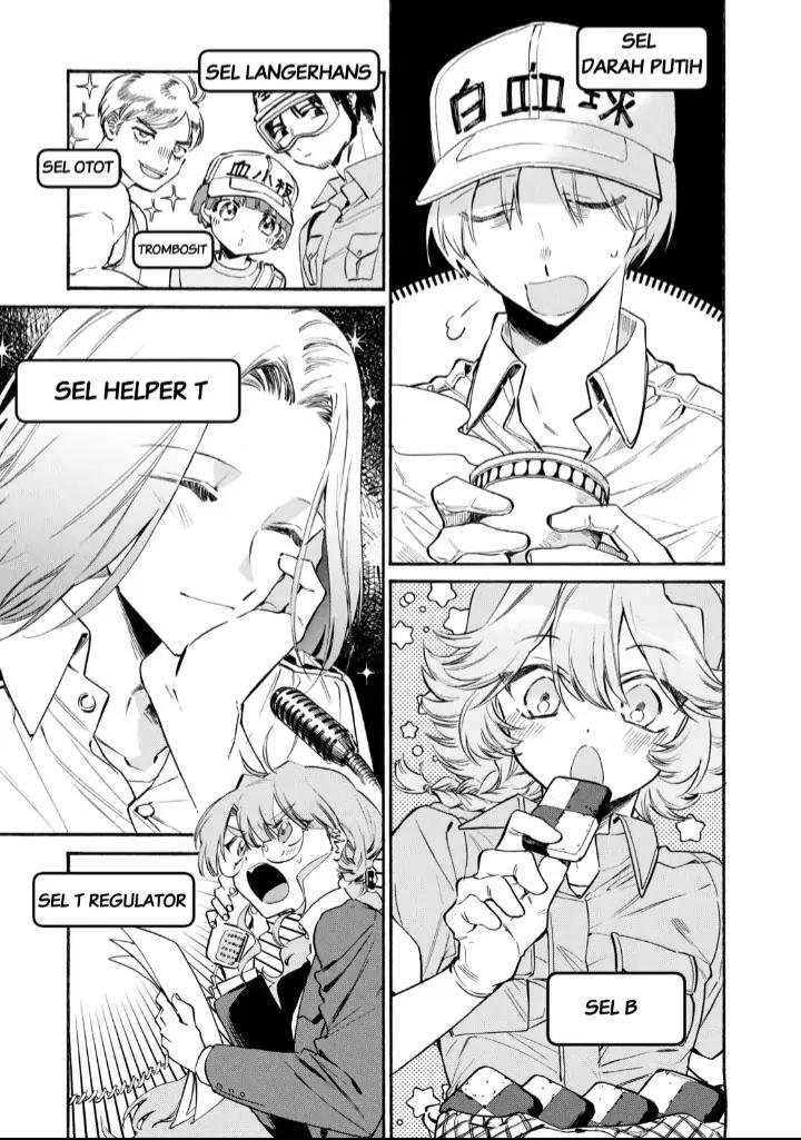 Hataraku Saibou LADY chapter 6