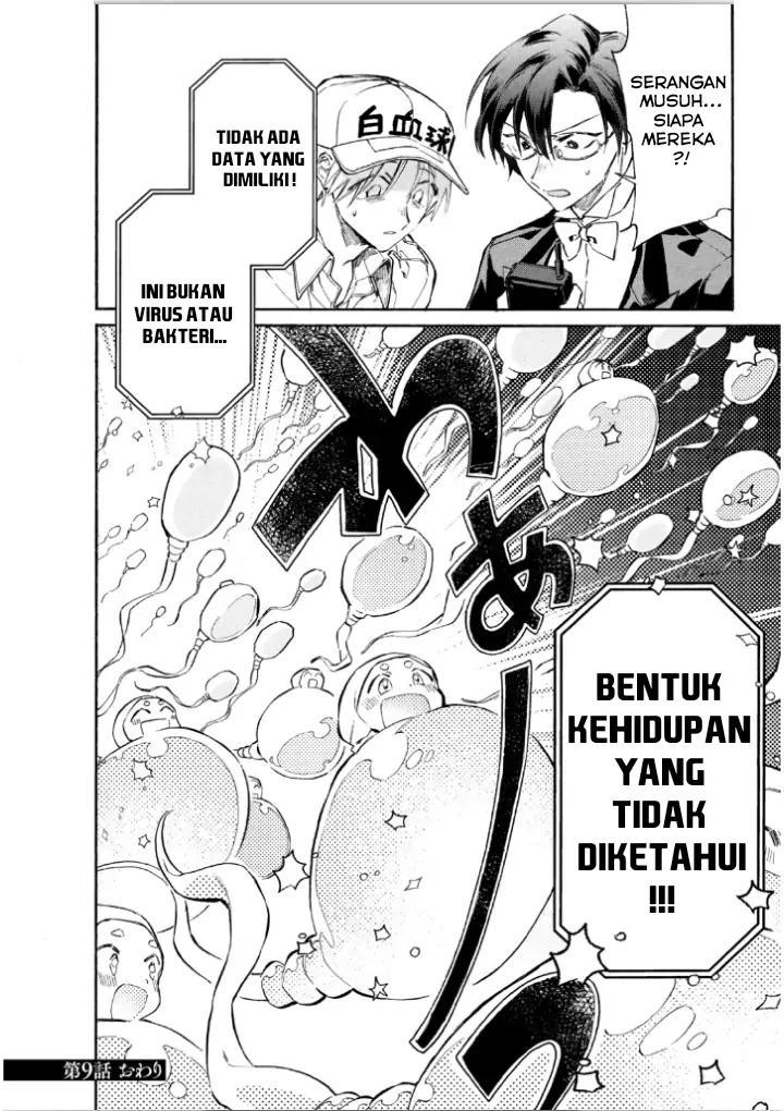 Hataraku Saibou LADY chapter 9