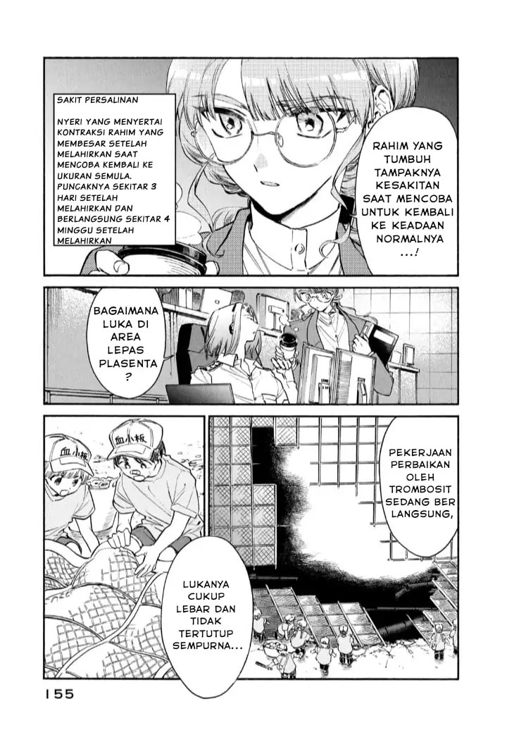 Hataraku Saibou LADY Chapter 15 Bahasa Indonesia