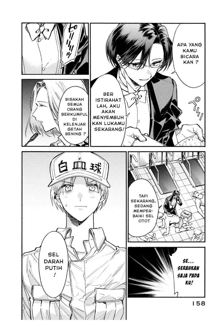 Hataraku Saibou LADY Chapter 15 Bahasa Indonesia