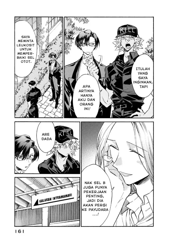 Hataraku Saibou LADY Chapter 15 Bahasa Indonesia