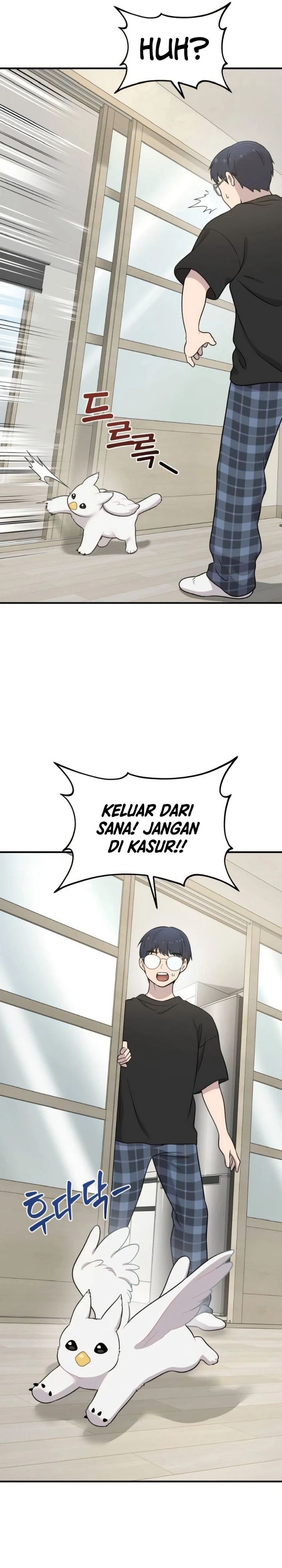 Hello, Fluffy Griffin! Chapter 02 Bahasa Indonesia