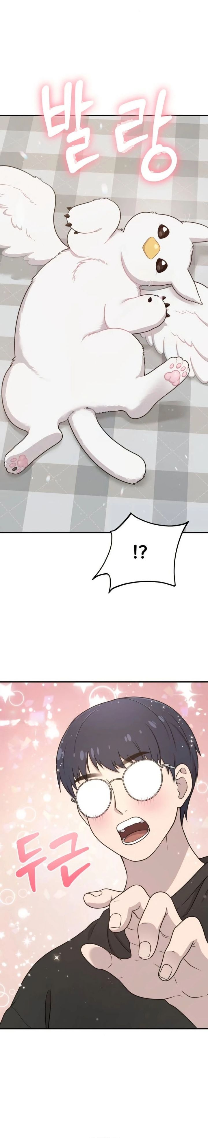 Hello, Fluffy Griffin! Chapter 02 Bahasa Indonesia