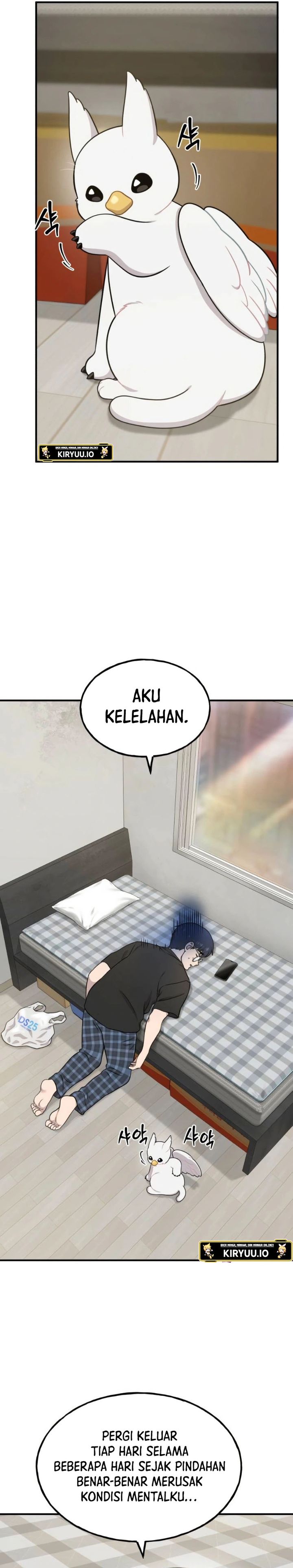 Hello, Fluffy Griffin! chapter 4